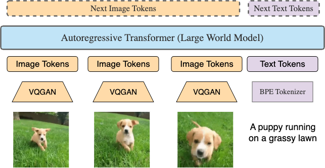 LWM model 原图