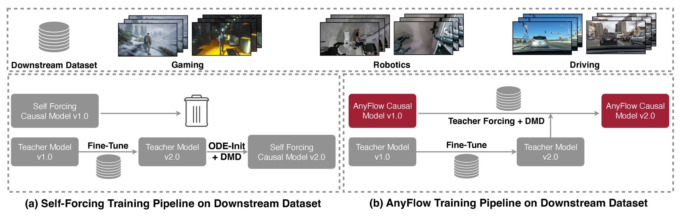 AnyFlow downstream fine-tuning pipeline 原图