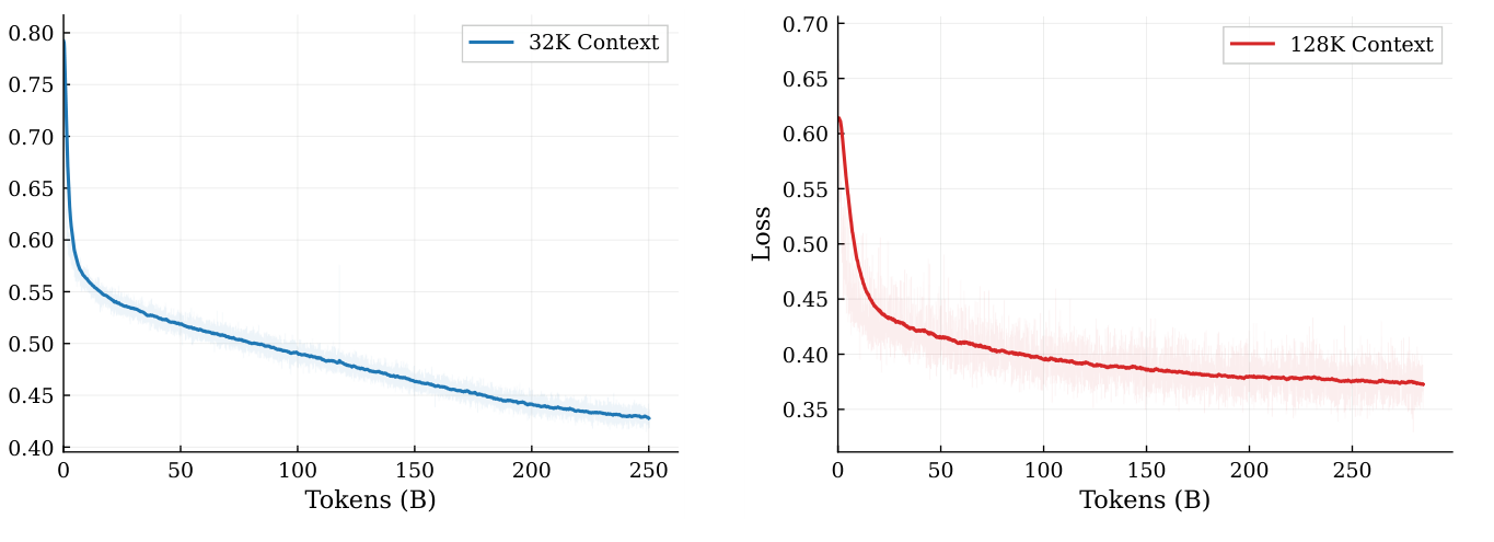Mid-training loss curves