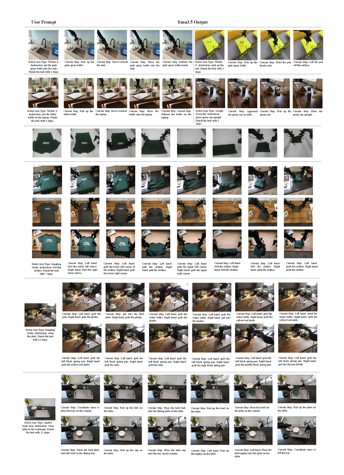 Emu3.5 embodied manipulation 原图