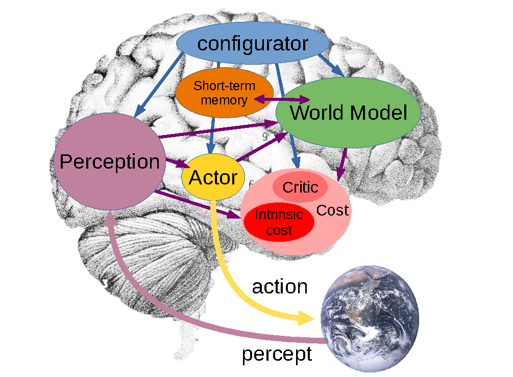 Autonomous intelligence architecture
