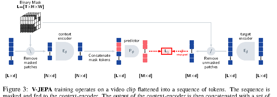 V-JEPA training procedure