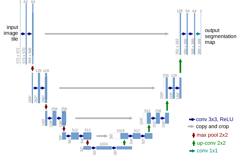 U-Net architecture