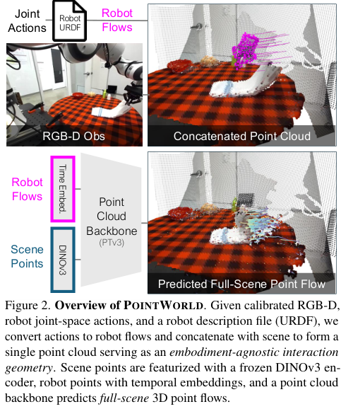 PointWorld architecture