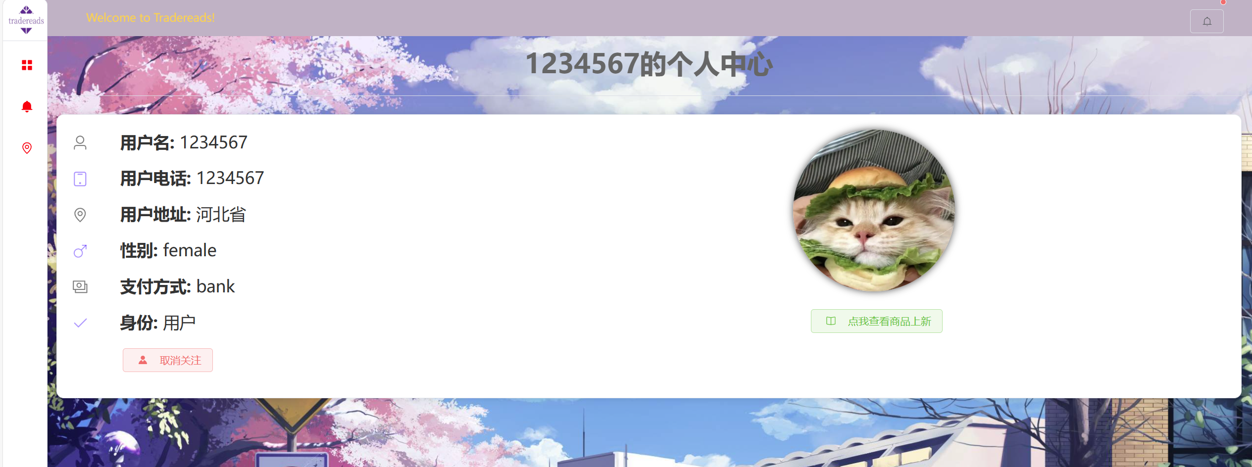 image-20231222222557267