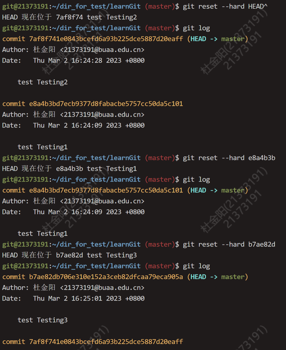 image-20230302163444154